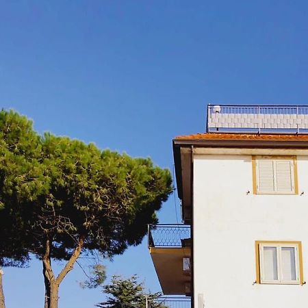 Domus Cedri Apartment サンタ・マリーア・デル・チェドロ エクステリア 写真