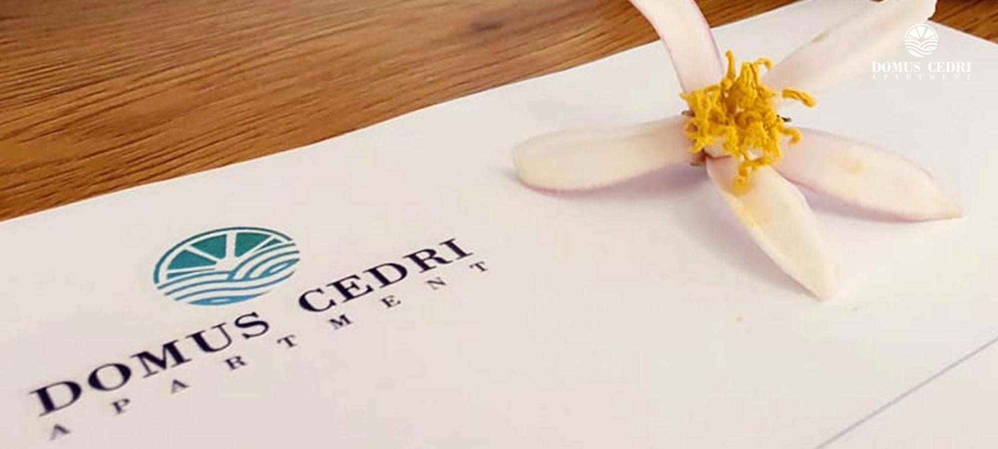 Domus Cedri Apartment サンタ・マリーア・デル・チェドロ エクステリア 写真